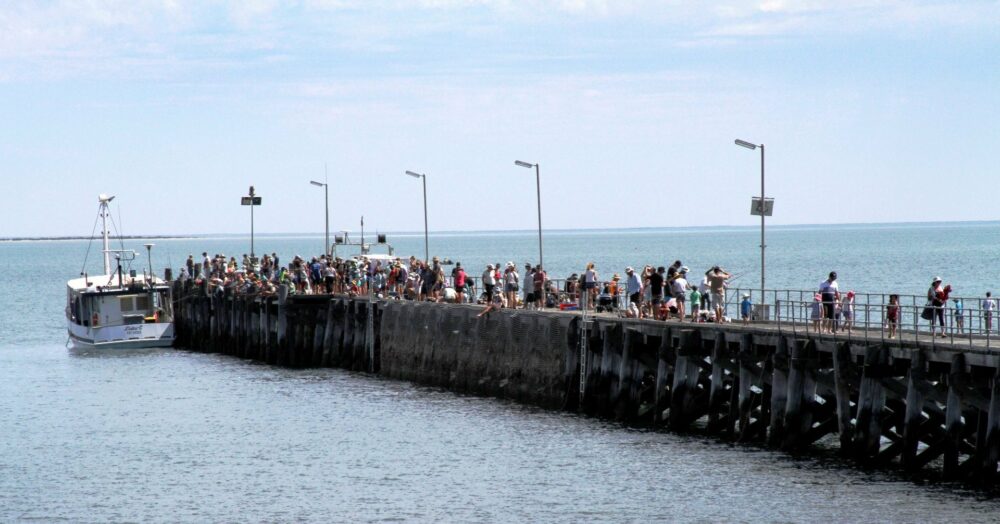 family-fish-day-banner-size-megan-eramiha-use-until-25.11.19