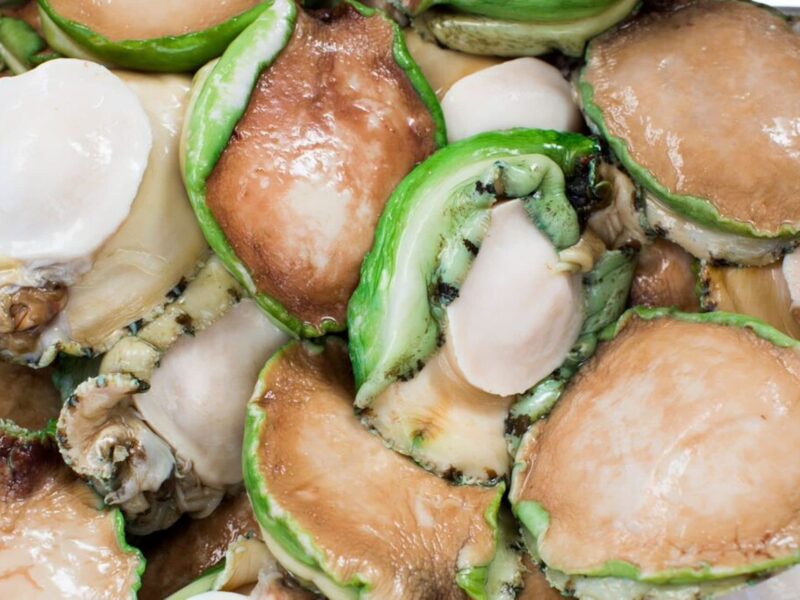 Green Lip, Image Credit Randy Larcombe