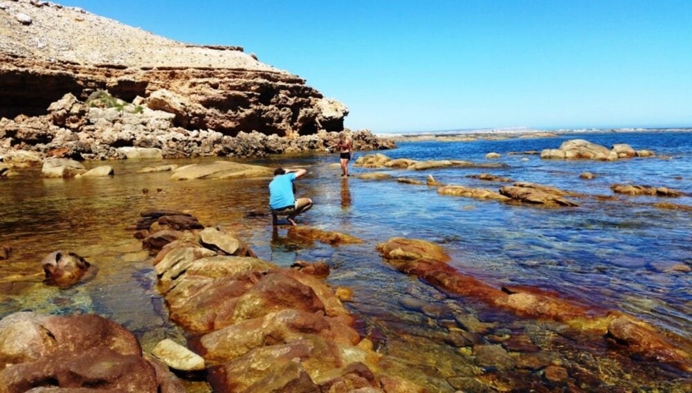 image-smotth-pool-jayne-holland-1