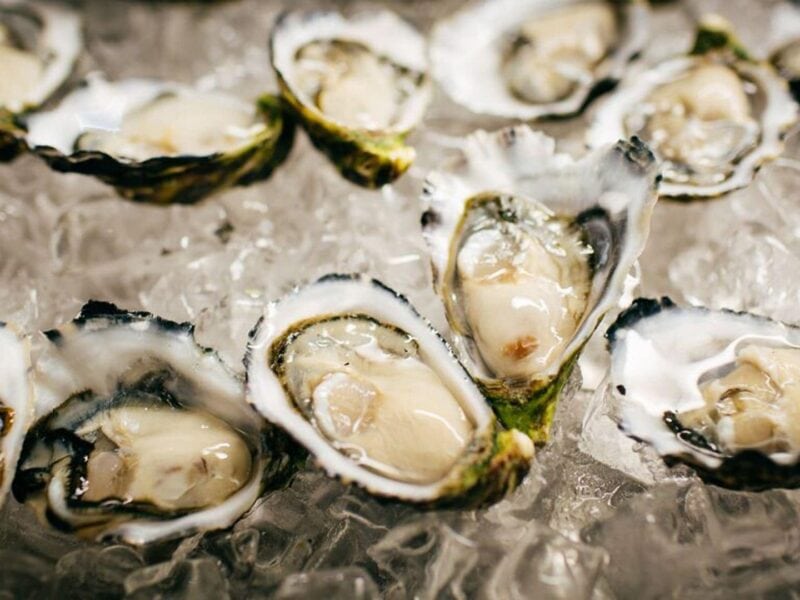 Oysters, Image Credit: John Montesi