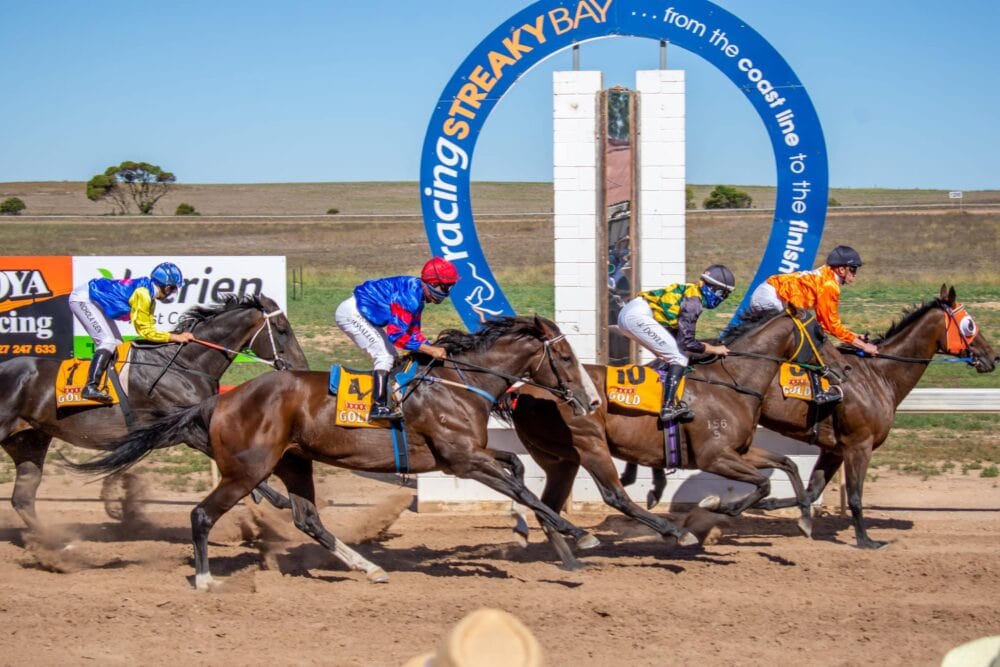 races-finish-line-scaled