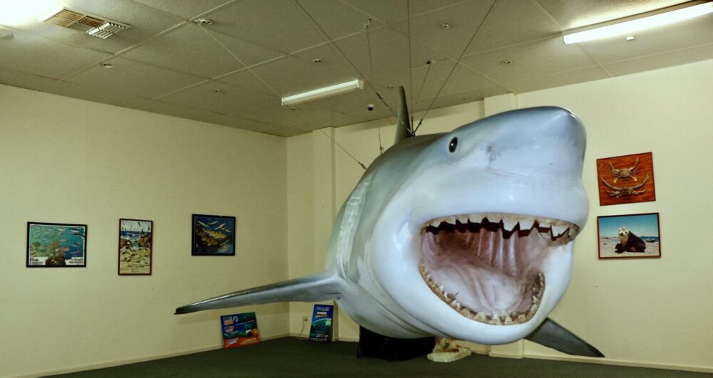 Great White Shark Replica, Shell Roadhouse