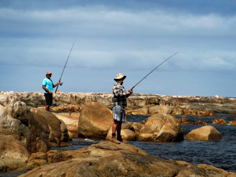 Smooth Pool Fishing, Megan Eramiha